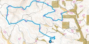 World Rogaining Championships United States GPS tracking